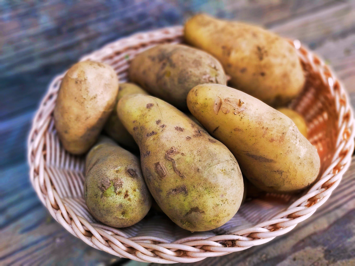 Potatoes 1 kg (May Queens) – Kasamatsu Farms