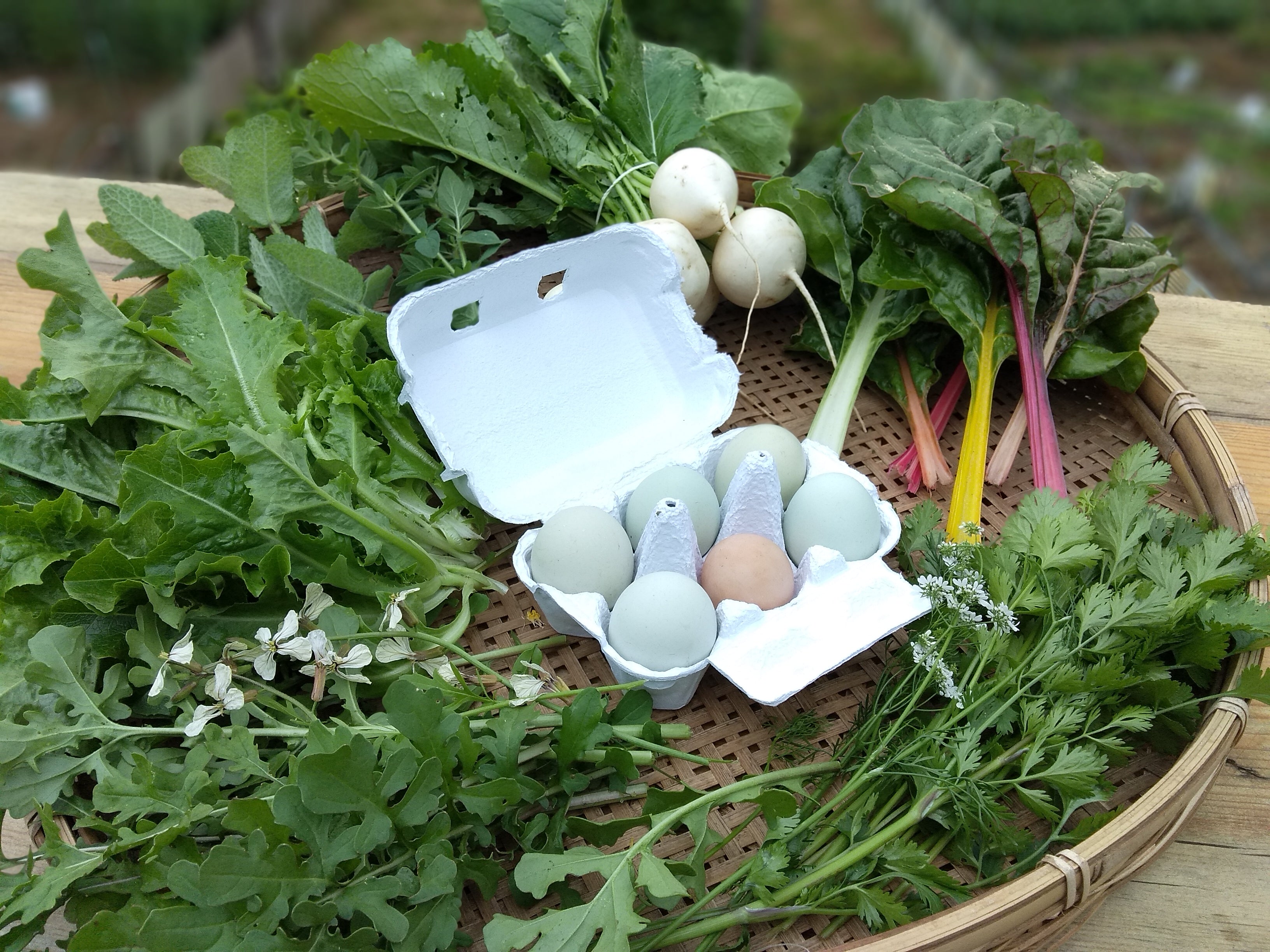 Box A: Farmer's Select Vegetables + free-range eggs  ( for 6/2)