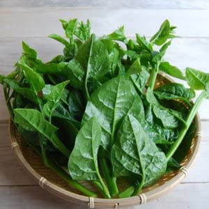 Malabar Spinach (Tsuru-murasaki)