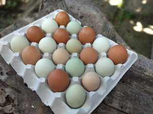 20 fresh farm eggs (includes shipping)