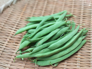 Lingot Suisse (blanc) -specialty green bean