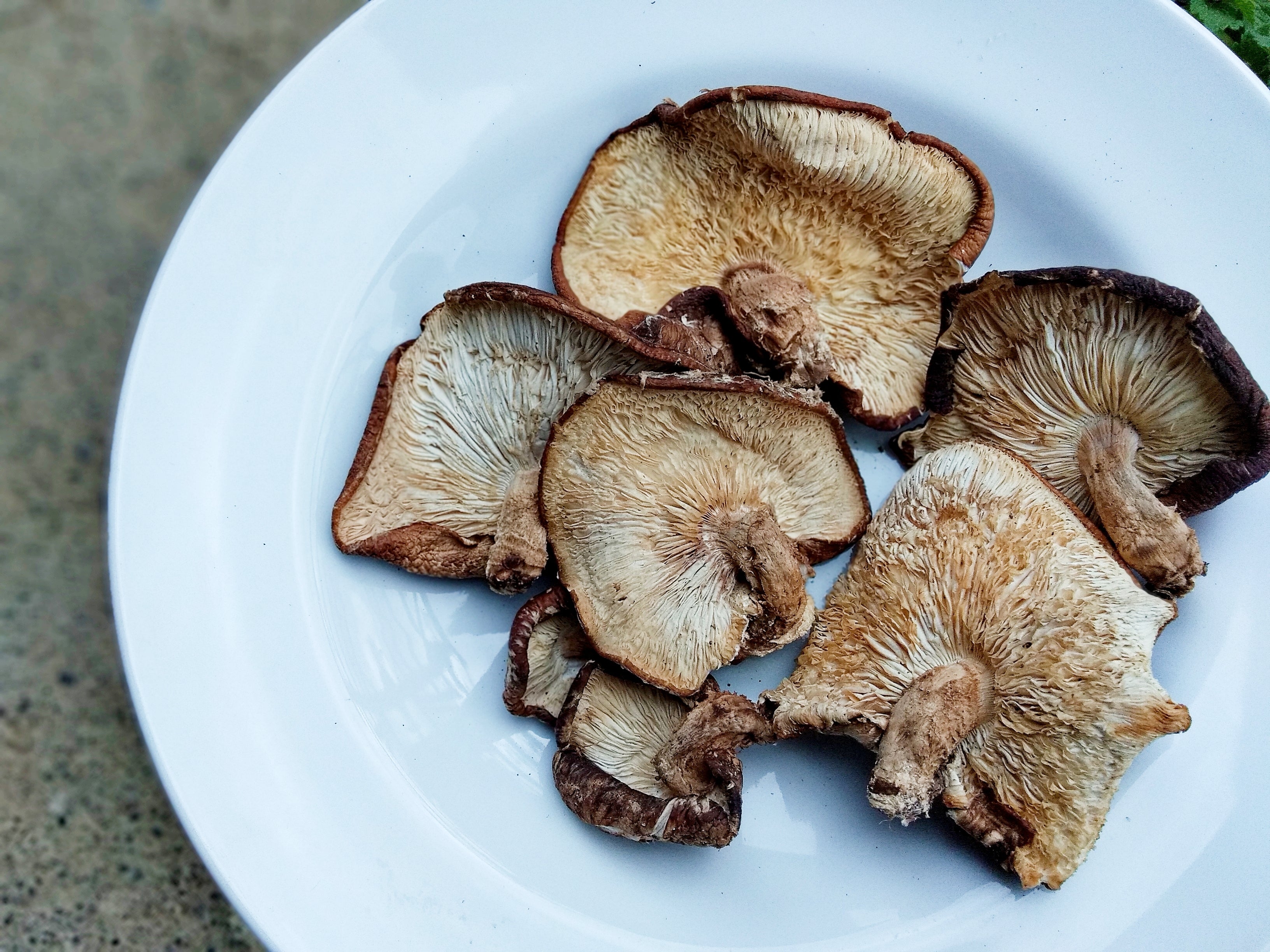 Dried organic shiitake mushrooms (whole)