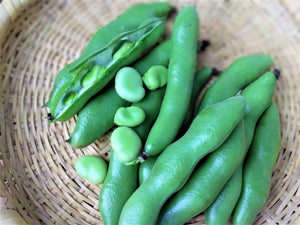 Broad beans (fava beans)