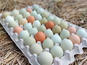 A tray of 45 fresh farm eggs (pre-order)