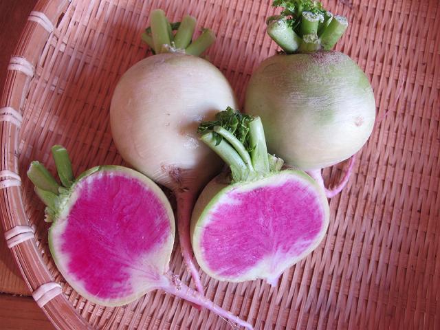 Watermelon radish (koshin daikon)