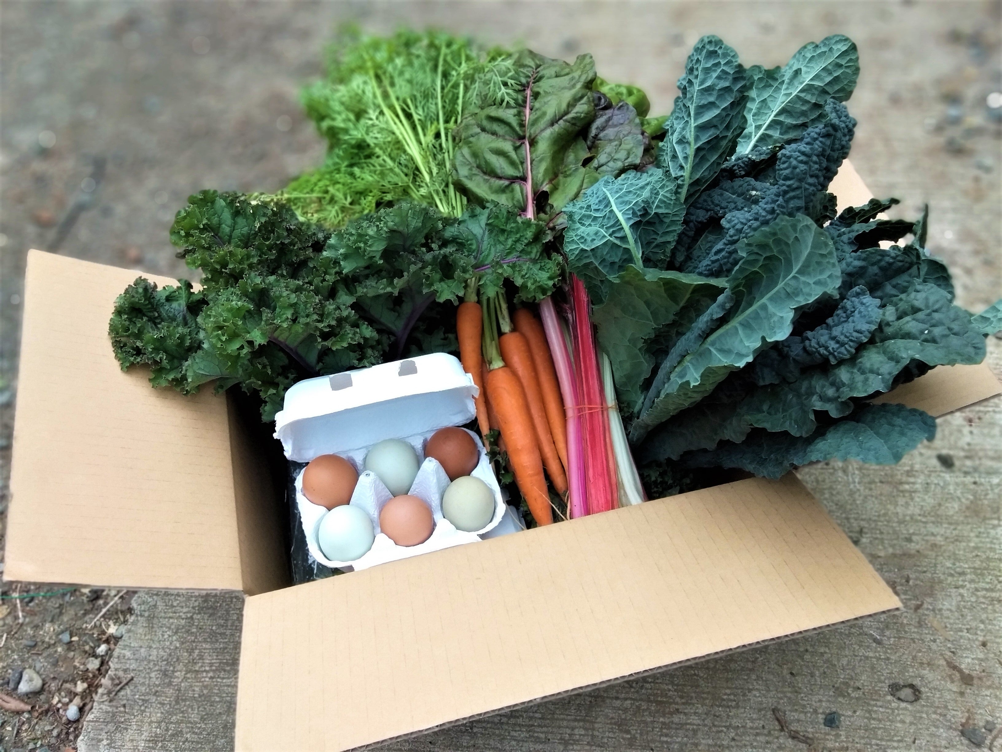 Farmer's Big Seasonal Veg Box (our standard size), 7-9 items, includes shipping